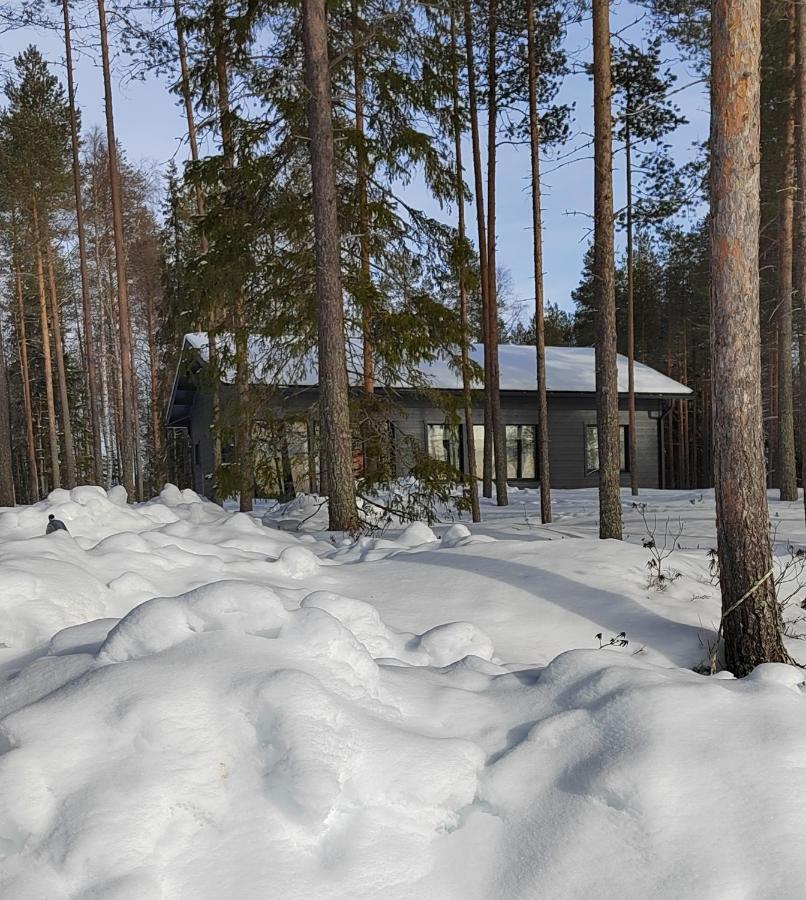 Villa Norvalisma Rovaniemi Exterior foto